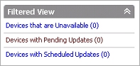 Screen shot of the Filtered View section on the Management Server page
