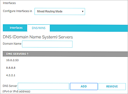 Screen shot of the Interface DNS server settings