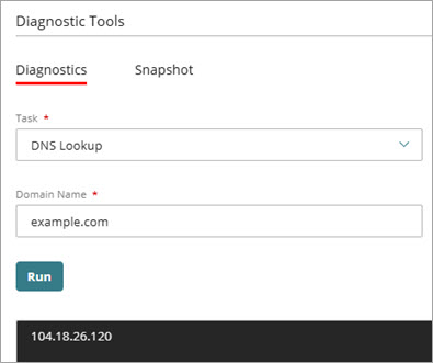 Screen shot of a DNS Lookup example