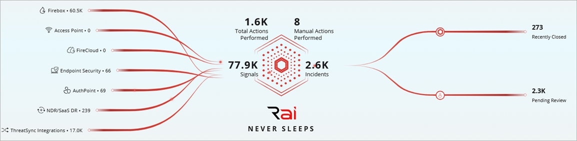 Screenshot of the Rai visualization section.