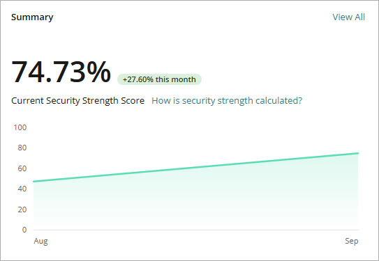 Screenshot of the Summary widget on the Security Strength dashboard