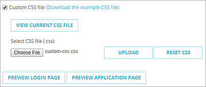 Captura de pantalla de los ajustes del archivo CSS Personalizado