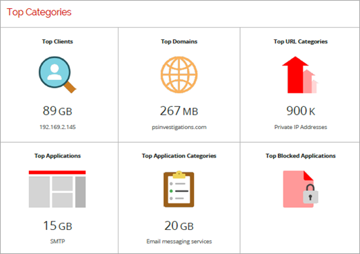 Top Categories section of the executive summary report