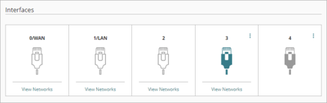 Screen shot of the Interfaces settings for a network