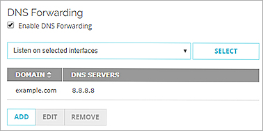 Screen shot of the DNS Forwarding settings