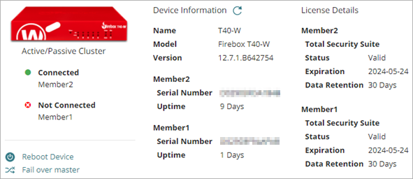 Screen shot of the Device Information page for an active/passive cluster