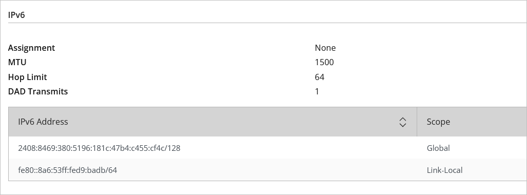 Screen shot of the IPv6 section on the Network Details page