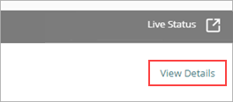 Screen shot of View Details link in a report
