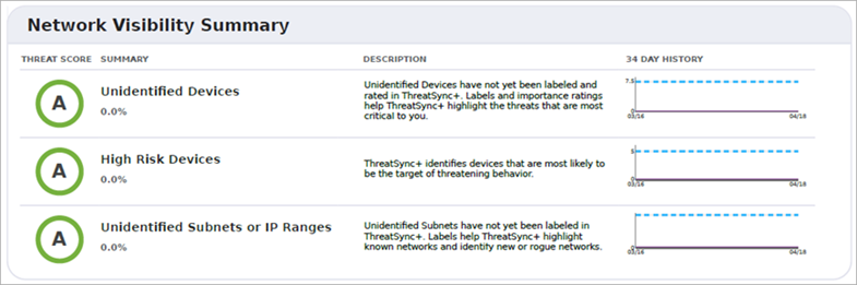 Screenshot of the Executive Summary Report, Network Visibility Summary section