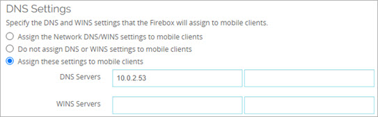 Screen shot of the DNS Settings