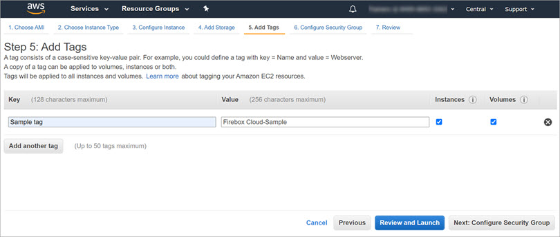 Screen shot of the Tag Instance step
