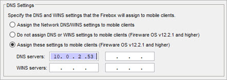 Screen shot of the DNS Settings