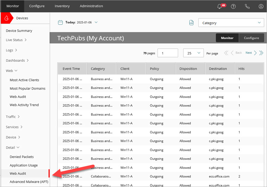 Screen shot of the Detail &gt; Web Audit report