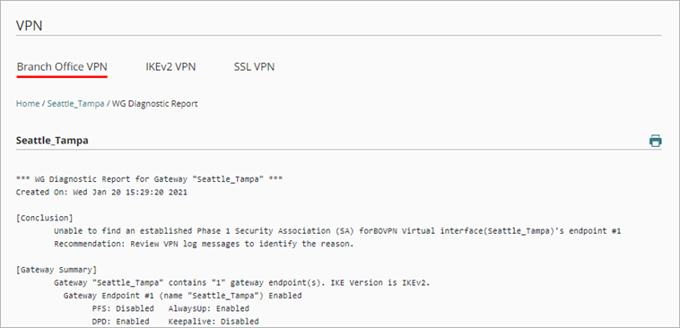 Screen shot of the VPN diagnostic report