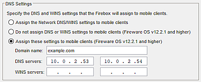 割り当てられた DNS 設定のスクリーンショット