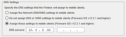 DNS 設定のスクリーンショット