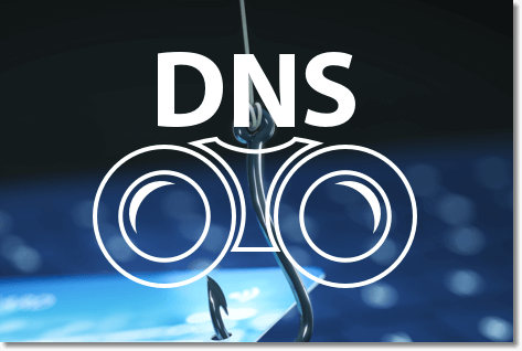 DNSWatch logo in front of a fish hook through a credit card
