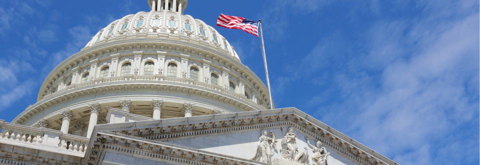 Photo: Government building with flag flying