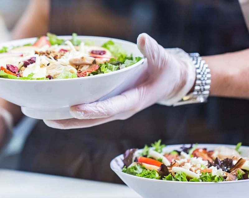 gloved hands holding a salad in a white bowl