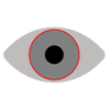 Icona dell'occhio grigio