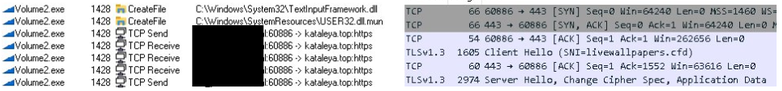 Network telemetry showing Volume2.exe communicating with OkoBot command-and-control infrastructure over HTTPS and TLS during an ErrTraffic malware infection.