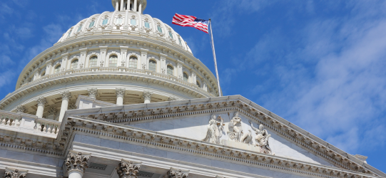 Foto: Staatliche und regionale Behörden: Regierungsgebäude mit Flagge