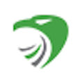 HawkEye G green Hawk's head logo