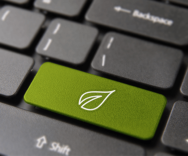 Close up of a computer keyboard with a green leaf key where enter usually is
