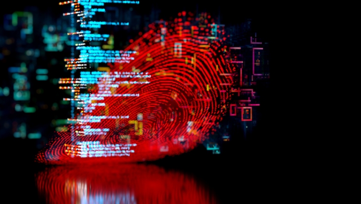 Person identity concept with fingerprint and code