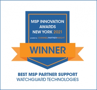 Channel Partner Insight Best MSP Partner Support