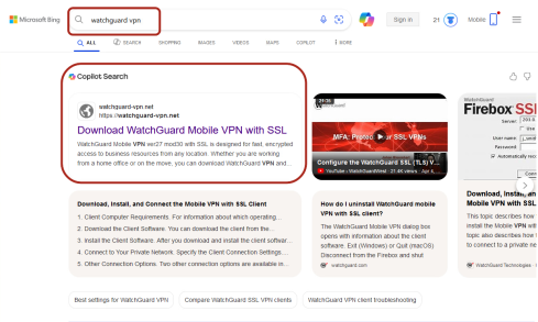 WatchGuard VPN SEO poisoning example (Bing).