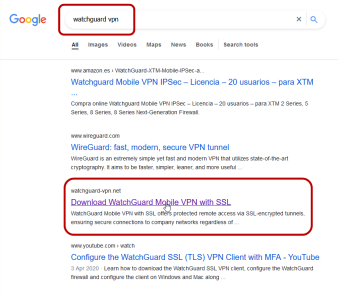 WatchGuard VPN SEO poisoning example (Google)