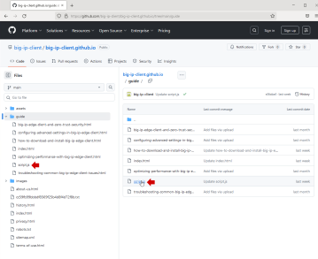 F5 BIG-IP Client GitHub script.js