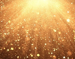 Channel Partner Insight