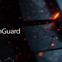 blog_webinar_growing_msp_with_ndr