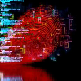 Person identity concept with fingerprint and code