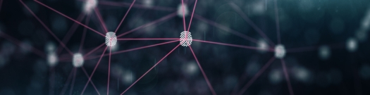 Abstract network graph representing an identity fabric connecting users and systems to enforce access and privacy controls.