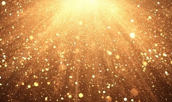 Channel Partner Insight