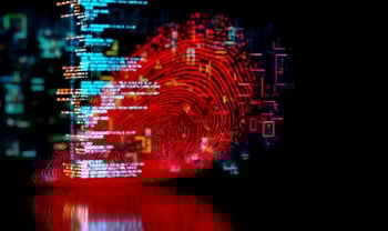 Person identity concept with fingerprint and code