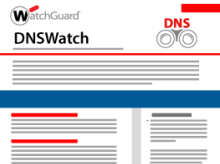 Thumbnail: DNSWatch Datasheet