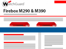 Firebox M290 and M390 Datasheet