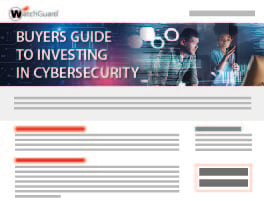 Thumbnail: Buyers Guide: Investing in Security