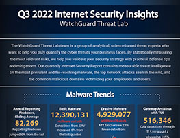Q3 2022 Internet Security Insights Infographic