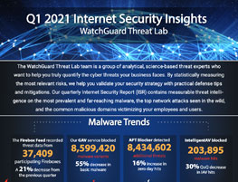 InfoGraphic - Internet Security Report Q1 2021