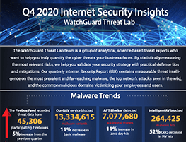 Q4 2020 Internet Security Insights Infographic