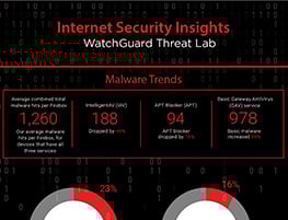 Infographic: Internet Security Insights